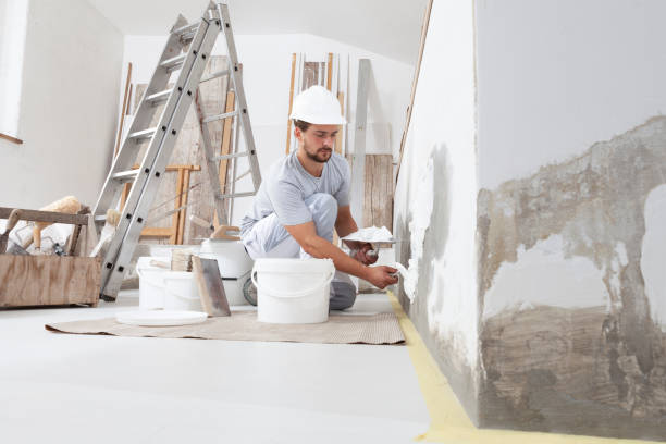 Best Mold Remediation for Vacation Homes  in Belleair Bluffs, FL