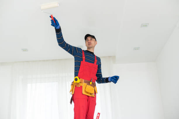 Best Mold Odor Removal Services  in Belleair Bluffs, FL